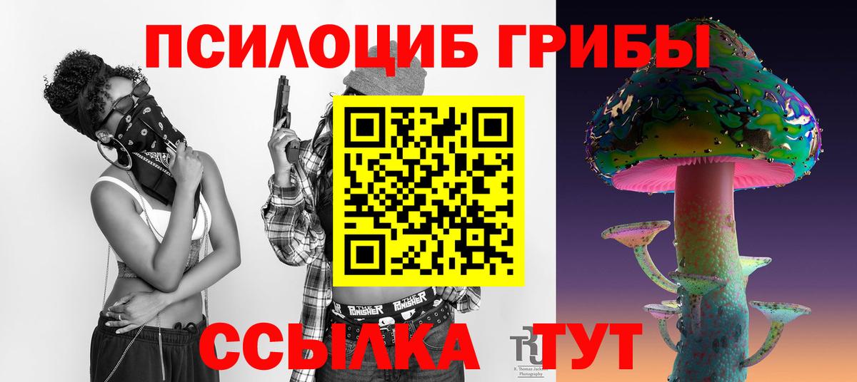 Галлюциногенные грибы Psilocybe  Вход с VPN  Шахты  Галлюциногенные грибы Psilocybe 